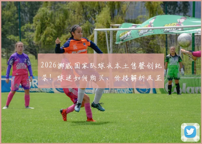 2026挪威国家队球衣本土售罄创纪录！球迷如何购买、价格解析及正品渠道指南